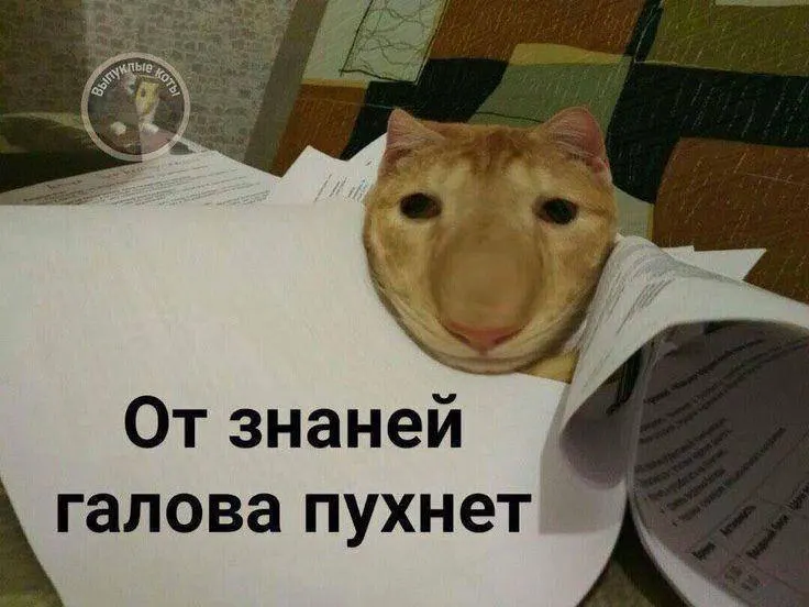 Минспорт планирует ввести в ГТО тест по управлению небольшим дроном: в этом году — в тестовом режиме, а с следующего года норматив станет доступен по всей стране; получение значка может дать до 10 баллов к результатам экзамена.