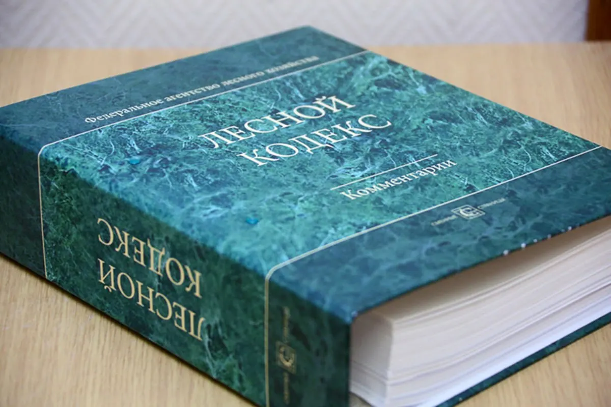 Кодекс, принятый в 2006 году, претерпел многочисленные поправки — эксперт по лесному хозяйству считает, что документ нужно заменить и значительно упростить, чтобы снизить риски для бизнеса и специалистов.