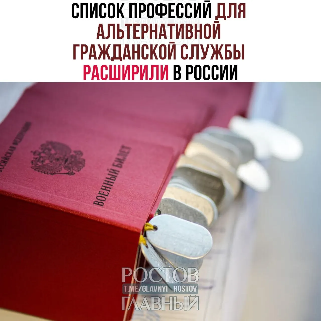 Список направлений для прохождения альтернативной гражданской службы увеличили с 271 до 363 позиций; в него добавили, в том числе, водолазов, врачей и технических специалистов.