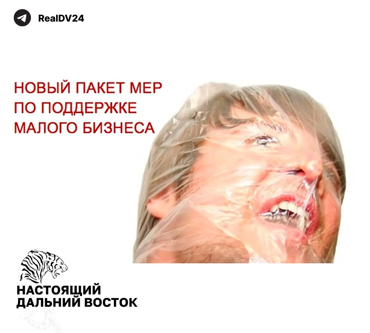 Федеральная налоговая служба направила регионам рекомендации по увеличению налоговых поступлений: предлагается пересмотр льгот, повышение отдельных налогов и активная идентификация участков, используемых не по назначению.