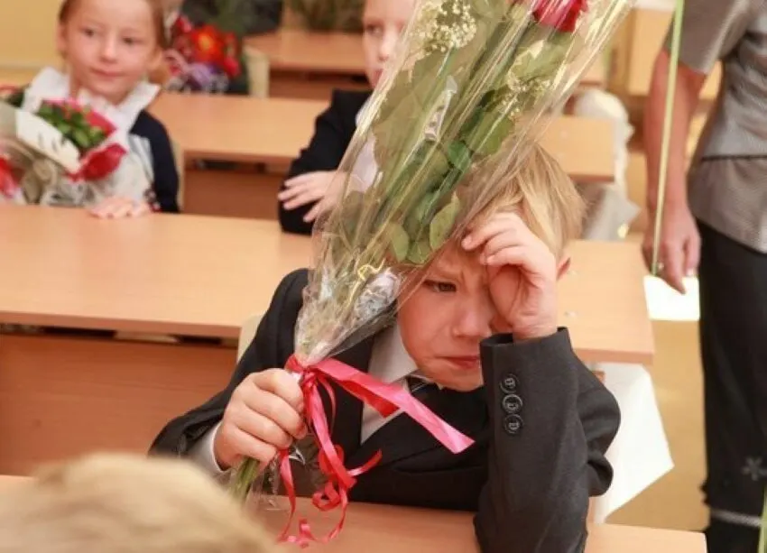 Замглавы Минпросвещения Владимир Желонкин заявил, что 11-летняя система обучения считается оптимальной, и сейчас нет планов ни сократить, ни увеличить число классов; все стандарты будут вводиться с учётом 11 классов.