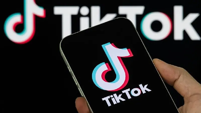Платформу наказали за то, что не удалили два ролика, в которых, как указано, содержалась «пропаганда нетрадиционных сексуальных отношений».