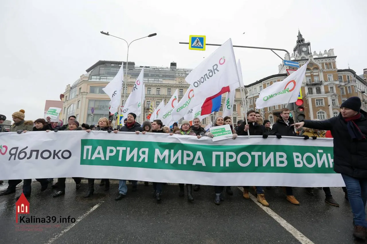 Эксперты предполагают, что регистрацию партии могли разрешить, чтобы направить протестные настроения в контролируемое русло — при этом многие известных членов партии не допущены к участию.
