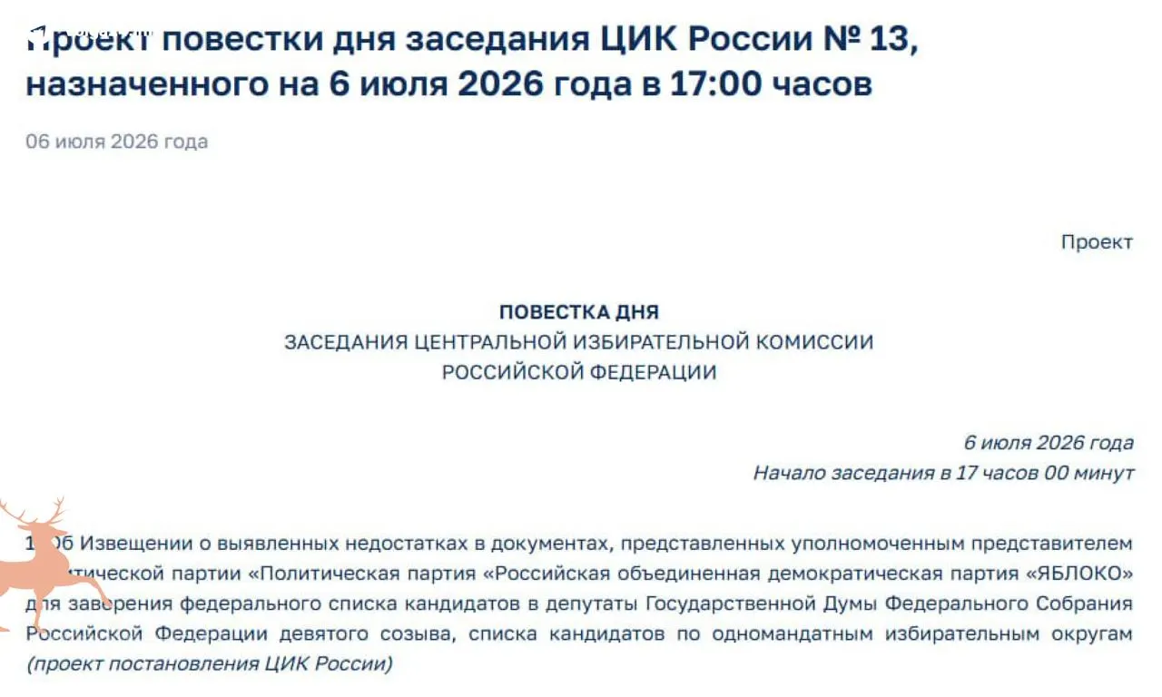 Центризбирком выявил недостатки в регистрационных документах партии «Яблоко». Назначено экстренное заседание на 6 июля — решение может помешать участию партии в выборах в Госдуму.