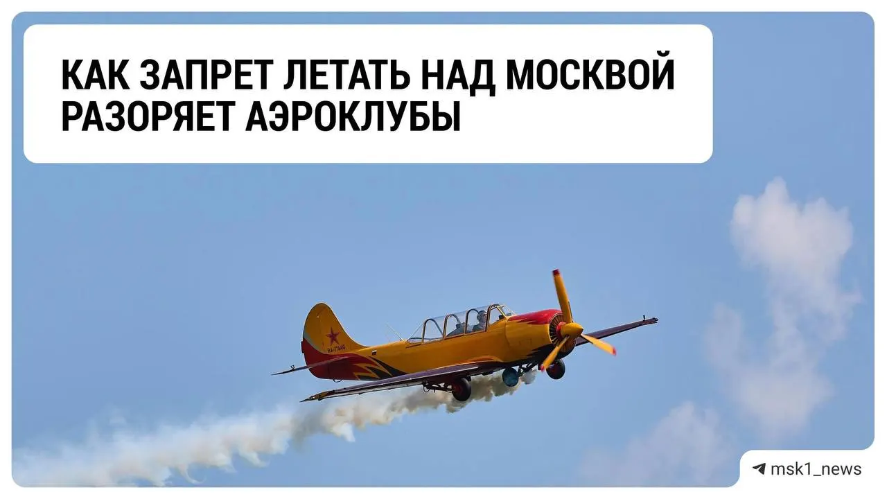 Аэроклубы Подмосковья сталкиваются с кризисом из‑за ограничений полётов лёгких самолётов над столицей; доходы падают и сроки снятия ограничений до конца неясны.