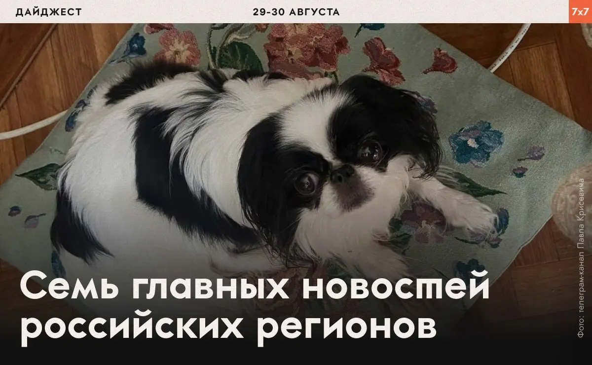 Короткий обзор событий по регионам России: аресты и давление на активистов, запреты на агитацию и застройку, а также призывы к подписке на рассылку.