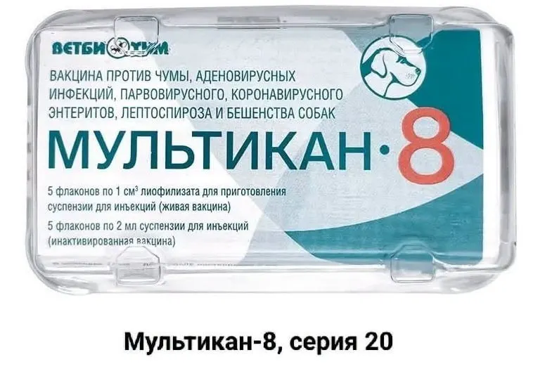 Заявители требуют независимого расследования и доступа к анализам на возможные дефекты вакцины «Мультикан-8» после смертей собак по регионам страны.