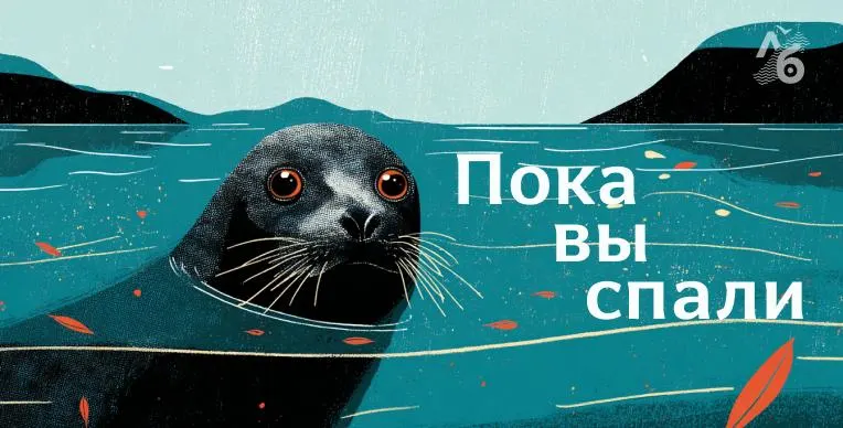 Дроны нанесли удар по Екатеринбургу; отменены линейки в школах, проходят акции и другие события по региону и вокруг страны.